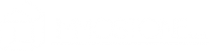 logo-immostone-white